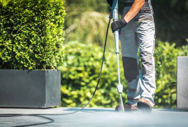 Solar Panel Cleaning in Adairsville, GA
